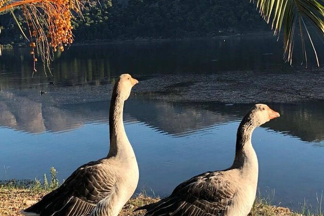 private-argostoli-walking-experience