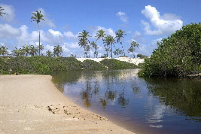 private-beach-buggy-tour-praia-do-forte-by-emytour
