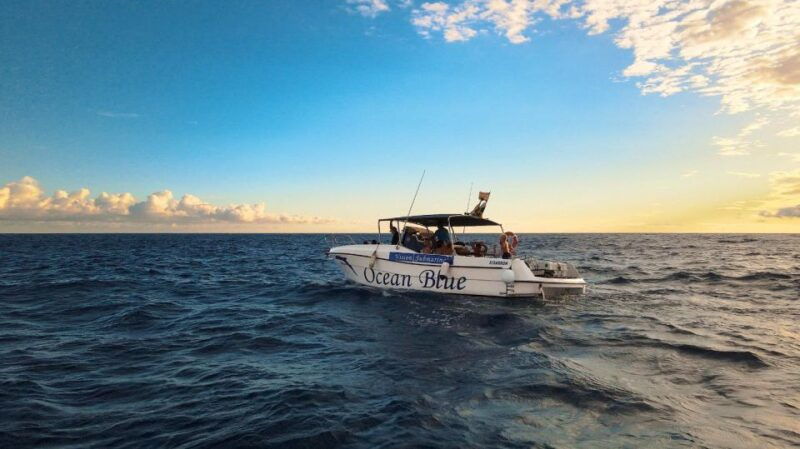 private-charter-private-charter-to-see-the-whales-2-hours