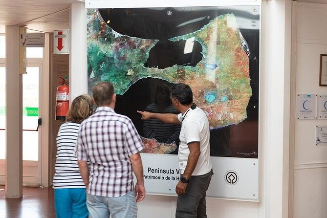 private-cruise-shore-excursion-to-peninsula-valdes