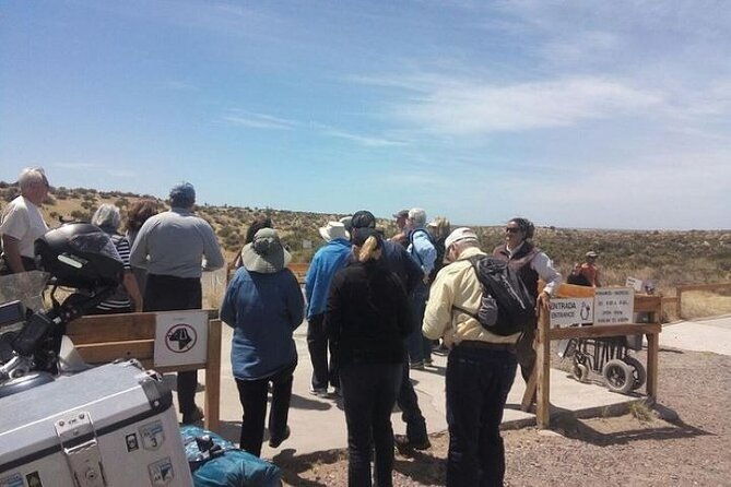 private-cruise-shore-excursion-to-punta-tombo
