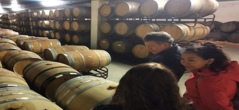 private-day-tour-arrabida-palmela-castle-tiles-and-winery