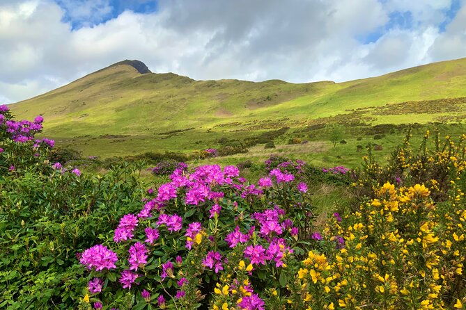 private-day-tour-from-galway-to-the-burren-the-cliffs-of-moher