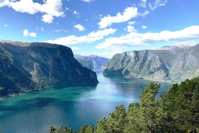 private-day-tour-naeroyfjord-cruise-viking-village-flam-railway