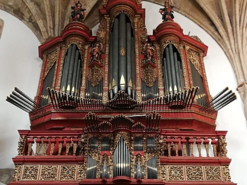 private-day-tour-university-coimbra-convent-christ-tomar
