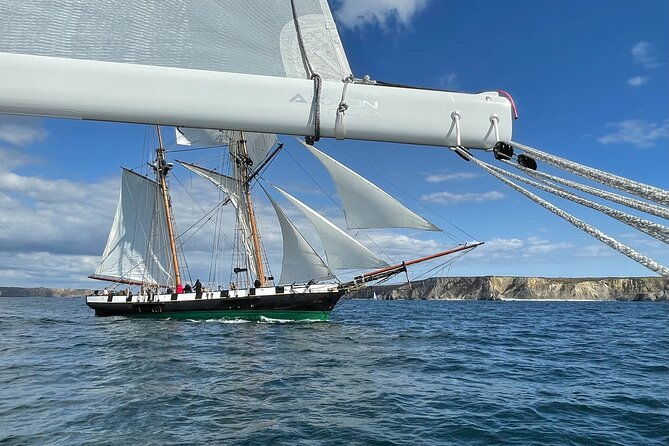 private-day-trip-at-sea-sailing