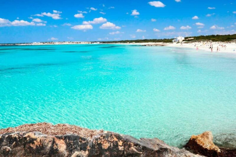 private-day-trip-palma-bay-es-trenc