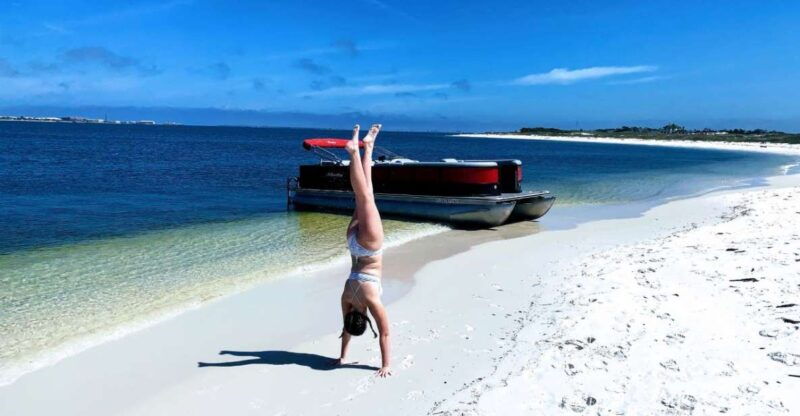 private-dolphin-tour-with-secluded-beach-snorkel-stop