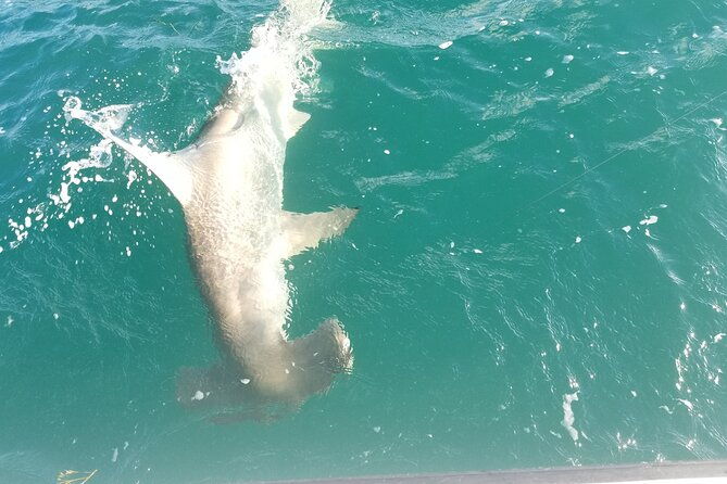 private-fishing-charter-florida-keys