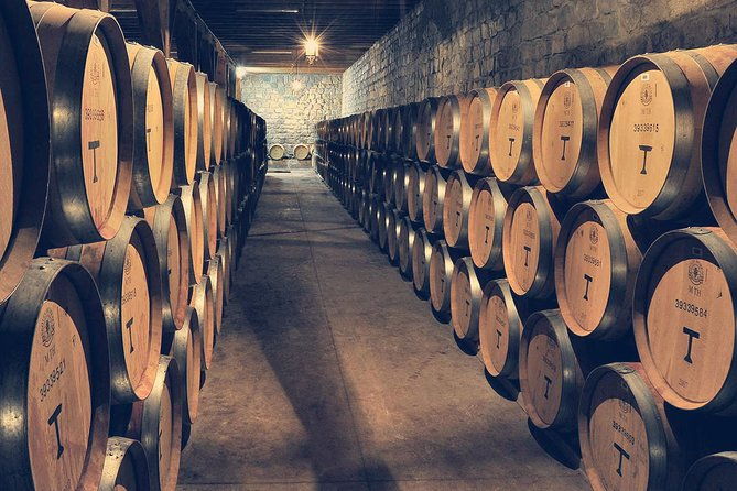 private-full-day-city-tour-of-santiago-with-wine-experience