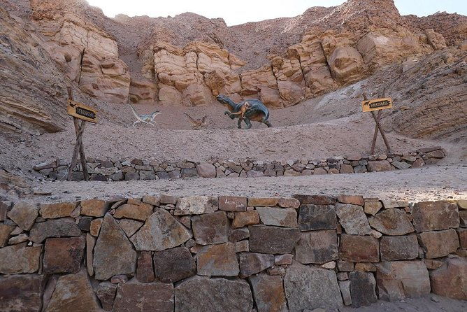 private-full-day-majes-toro-muerto-and-dinosaur-footprints-from-arequipa