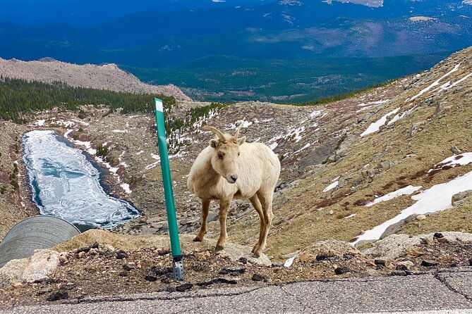 private-full-day-mount-blue-sky-red-rocks-tour-from-denver