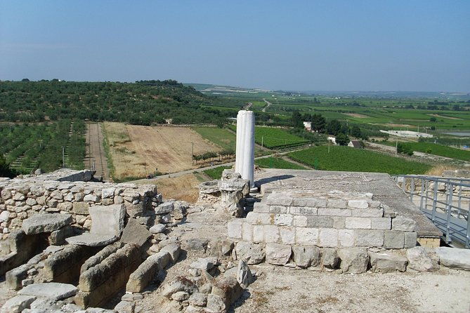 private-guide-archaeological-ruins-of-cannae-hannibals-victory-over-the-romans