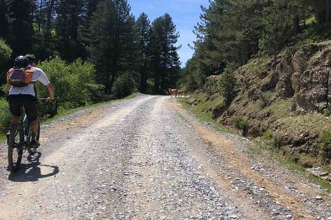 private-guided-e-biking-tour-on-mount-olympus