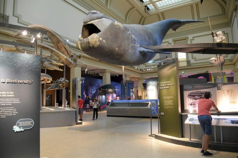 private-guided-tour-of-the-natural-history-museum