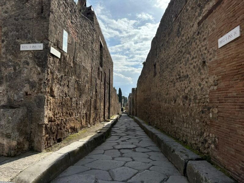private-guided-tour-to-pompeii-excavations