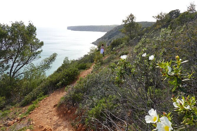 private-hiking-tour-along-the-last-wild-side-of-the-south-coast