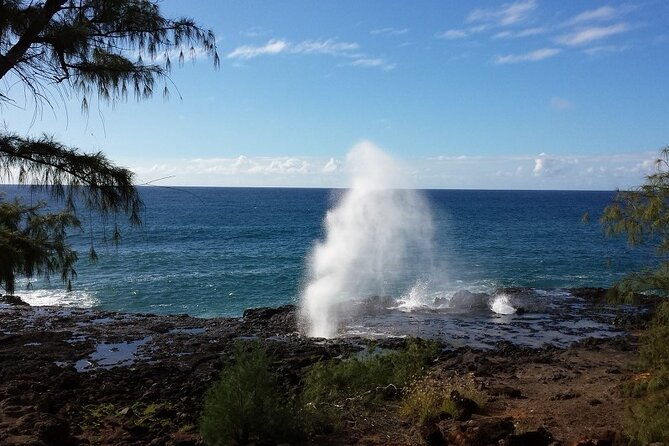 private-kauai-island-tour-waimea-canyon-kalalau-lookout-more