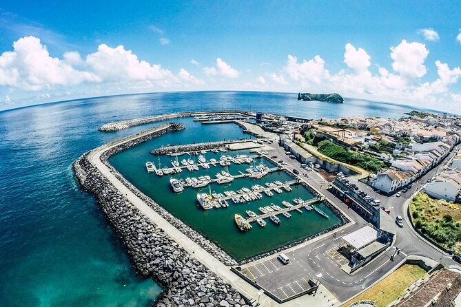 private-marine-wildlife-boat-tour