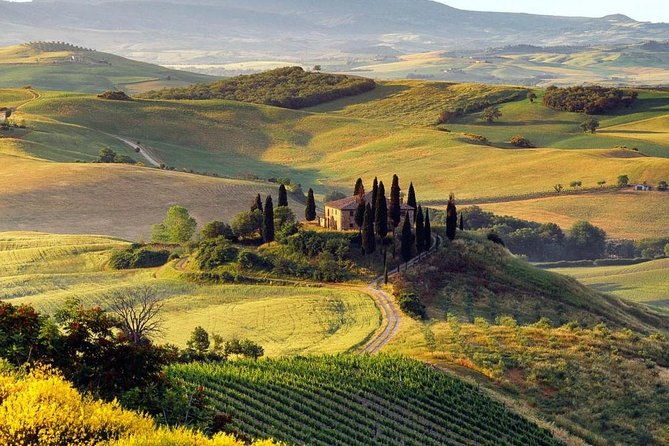 private-montalcino-and-pienza-tour-from-siena