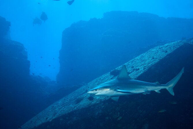 private-niihau-scuba-charter-with-2-or-3-tank-dive-option