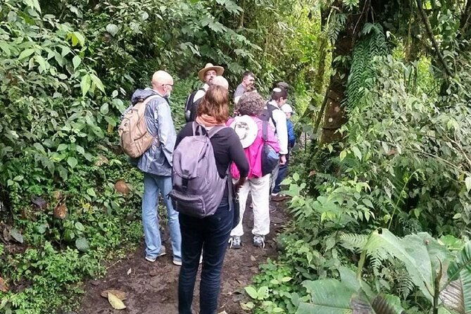 private-personalized-mindo-day-tour