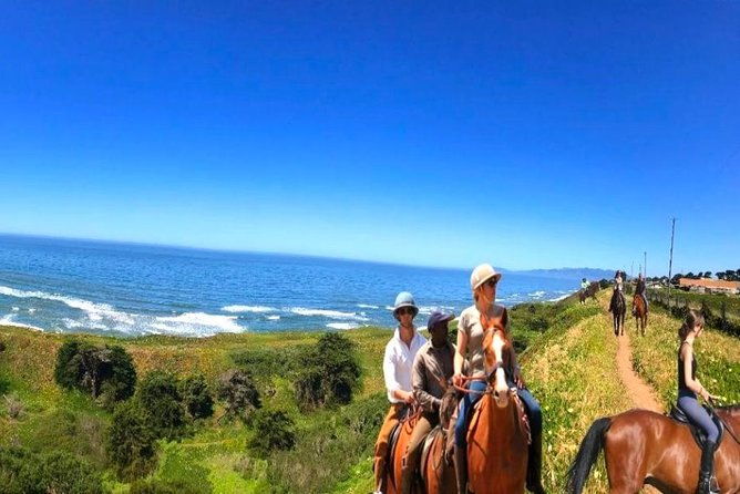 private-redwoods-tour-beach-horseback-riding-experience-from-san-francisco