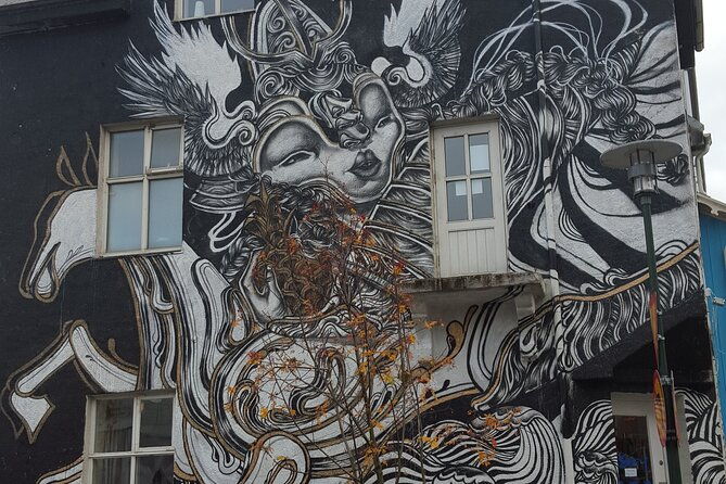 private-reykjavik-street-art-walking-tour-the-instagram-tour