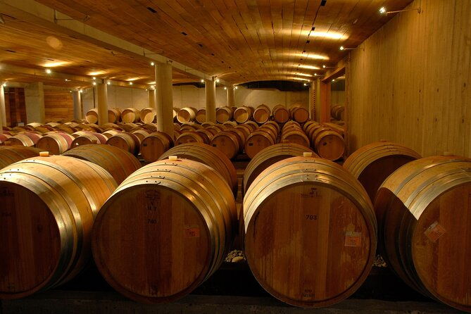 private-san-antonio-port-visit-chocalan-winery-transfer-hotel