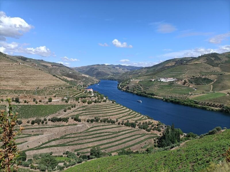 private-sommelier-tour-verde-e-douro-3-wineries-and-lunch