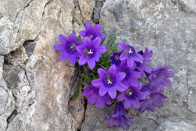 private-tour-mt-olympus-old-panteleimon