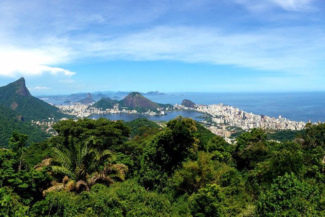 private-tour-rio-de-janeiro-eco-tour-at-tijuca-national-park
