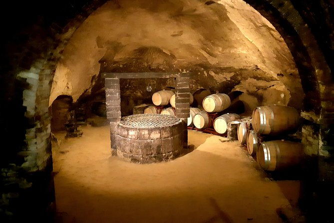 private-tour-savor-exquisite-wines-brunello-nobile-wine-tour
