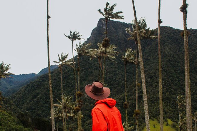 private-tour-to-salento-and-cocora-valley-from-pereira-or-armenia