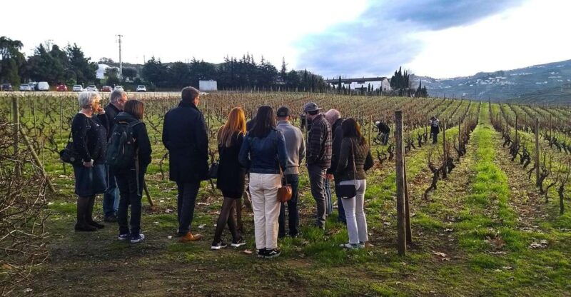private-tour-to-stunning-douro-valley-and-renowned-wineries