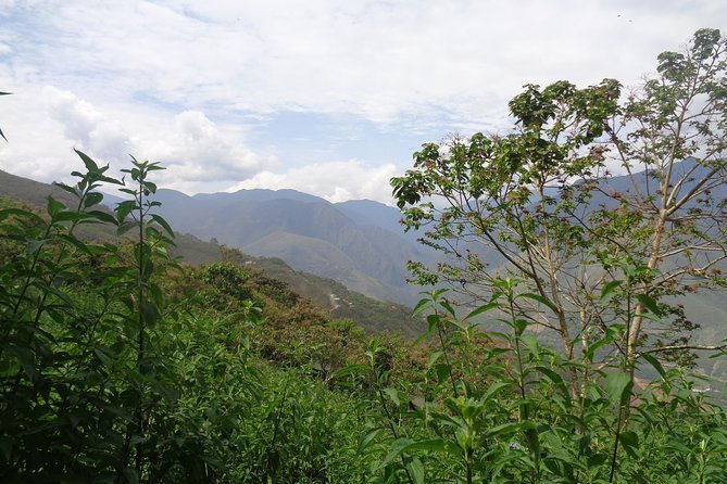 private-tour-to-the-yungas-coroico-the-death-route-from-la-paz