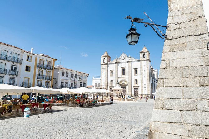 private-tour-wine-region-evora-wine-tasting