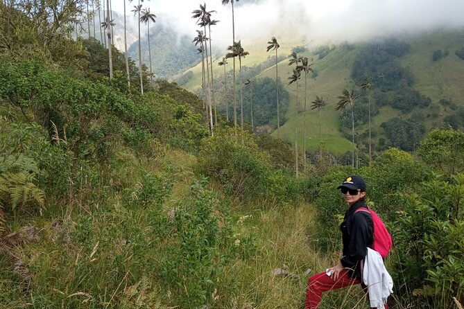 private-tour-with-guide-in-salento-and-cocora-valley-with-lunch