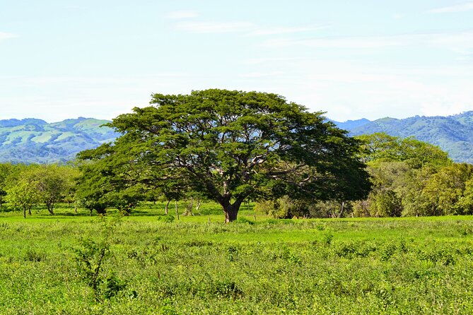 private-transfer-from-dreams-las-mareas-to-liberia-airport