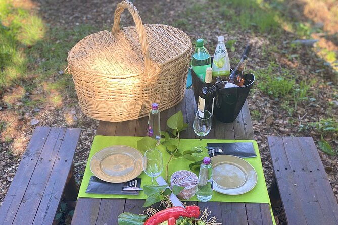 private-typical-portuguese-picnic-in-serra-de-monchique