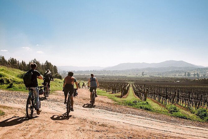 private-valparaiso-visit-kingston-winery-transfer-to-hotel