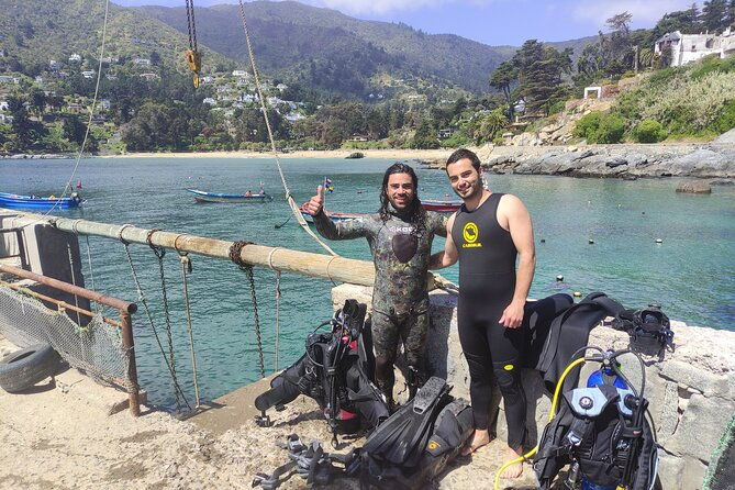 private-valparaiso-visit-penguins-island-horse-riding-picnic