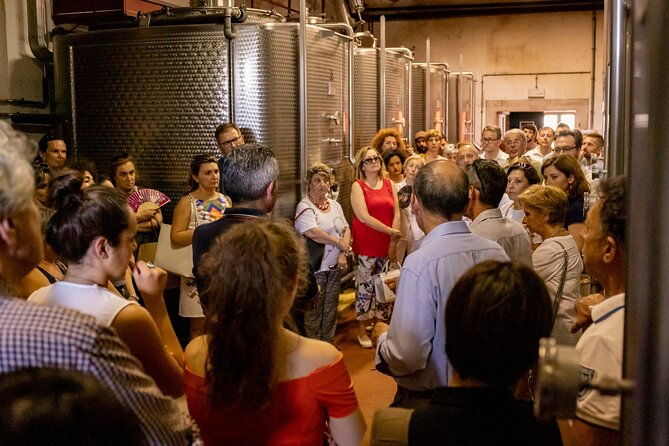 private-visit-to-vineyards-and-cellars-with-tasting-in-pavia