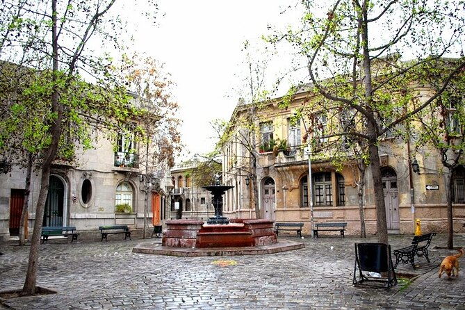 private-walking-tour-to-barrio-yungay-santiago