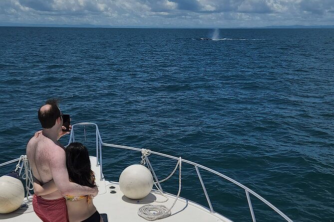 private-whale-watching-tour-at-the-pearl-islands-on-private-yacht