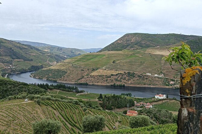 private-wine-tour