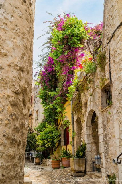 provence-day-saint-tropez-grimaud-village-wine-tasting