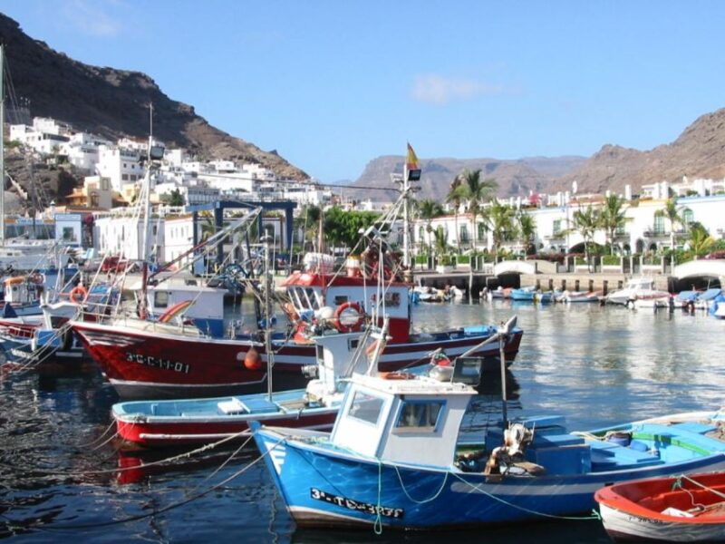 puerto-de-mogan-friday-market-experience