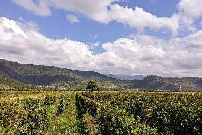 racha-region-with-tskhrajvari-and-wine-tasting-from-kutaisi