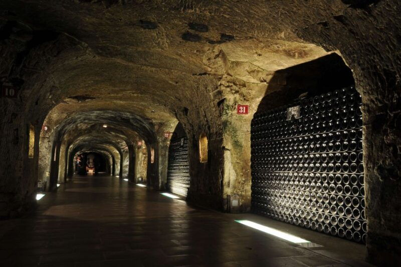 reims-epernay-private-moet-chandon-winery-tour-tastings